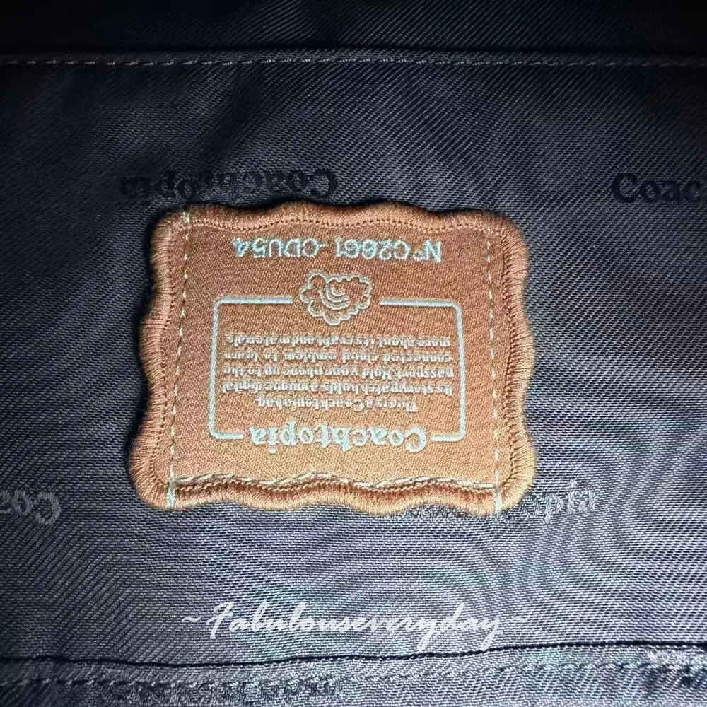 Coach Cargo Shoulder Bag Crossbody In rPET/Silver/Maple CDU54 NWT